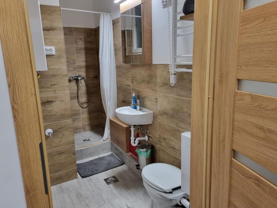 Downtown Studio Apartman Pécs Buitenkant foto